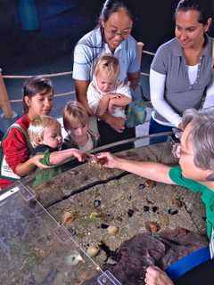 'Seal Pups' Make Splash With Mommy And Me Program At Norwalk Aquarium