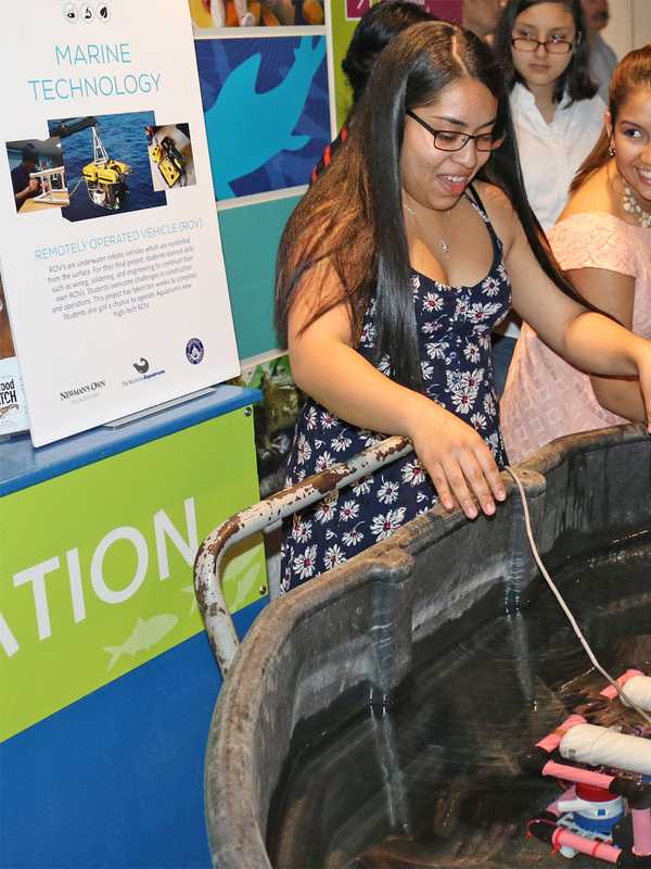 Maritime Aquarium Celebrates Work Of 63 High School Students In Norwalk