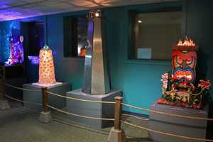 Maritime Aquarium At Norwalk Offers Scout Day Deals