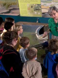 Maritime Aquarium Seeks New Volunteers