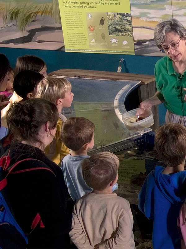 Maritime Aquarium Seeks New Volunteers