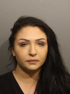 Speeding Stop, K9 Search Leads To Drug Charges For Westchester Woman