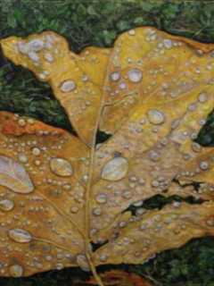 Brewster's Studio Around The Corner Displays Artist James Sparks' Work