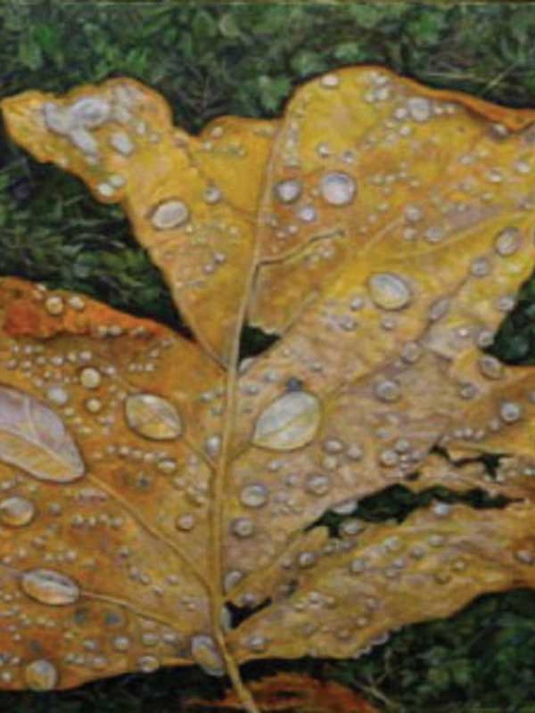 Brewster's Studio Around The Corner Displays Artist James Sparks' Work