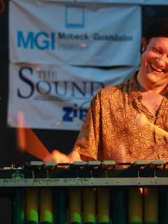 Wilton Library Feels The Vibes In Hot & Cool Concert