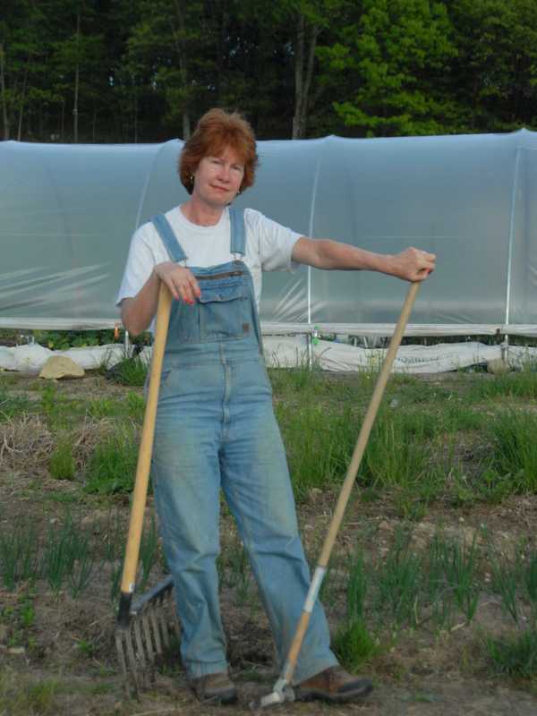 Get Hands-On Gardening Tips At Fort Lee Library