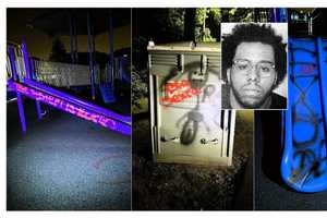 Vandal Caught Spray Painting Elmwood Park Playground: Police