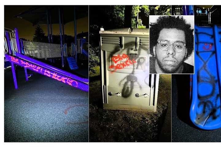 Vandal Caught Spray Painting Elmwood Park Playground: Police