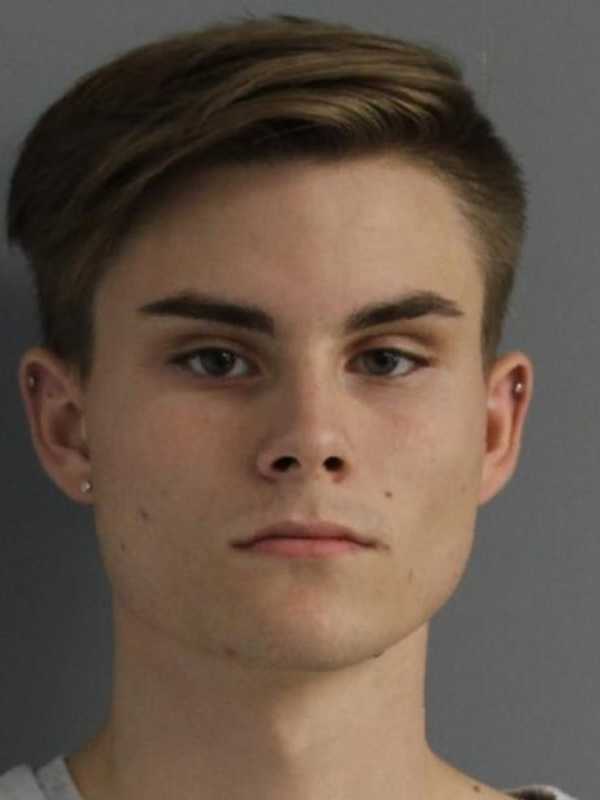 Police: Amenia Teen Stopped For Speeding Had Psychedelic Mushrooms, Dagger