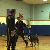 <p>K9 officers from the Bergen County Sheriff&#x27;s Department visited the police academy this week to show how K9s are used in police work.</p>