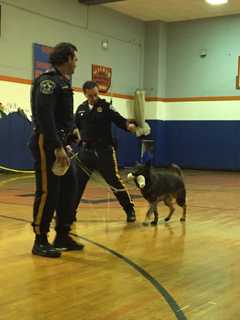 Bergen County Sheriff's K-9 Unit Visits Lodi Junior Police Recruits