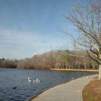 Here Are Five Places To Enjoy Fall Foliage On Long Island