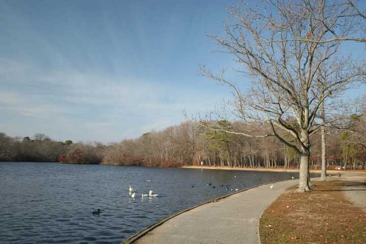 Belmont Lake State Park is one of five places to enjoy fall foliage on Long Island.