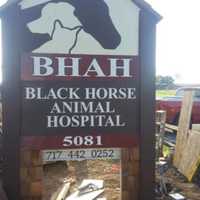 More Than $122K Stolen From Lancaster County Horse Hospital