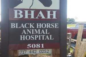 More Than $122K Stolen From Lancaster County Horse Hospital