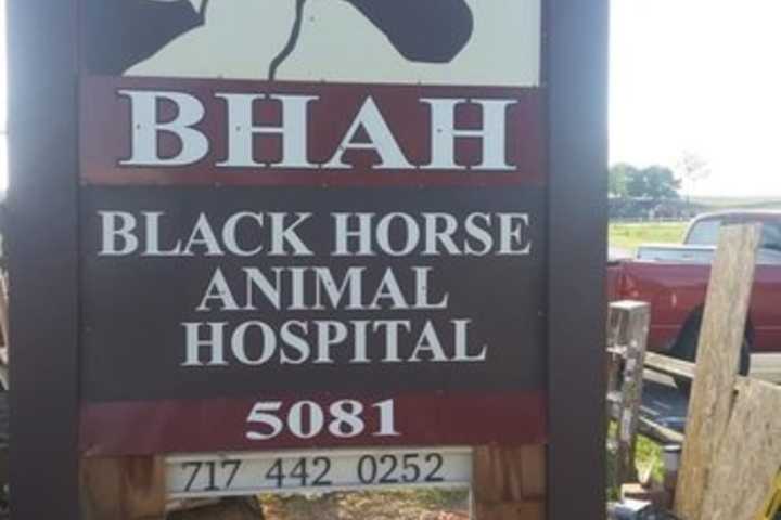 More Than $122K Stolen From Lancaster County Horse Hospital