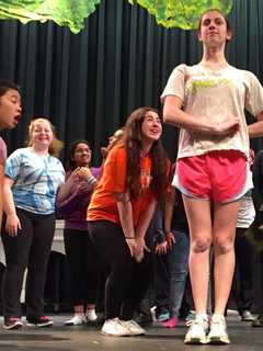 Briarcliff High Stages Rodgers-Hammerstein Musical