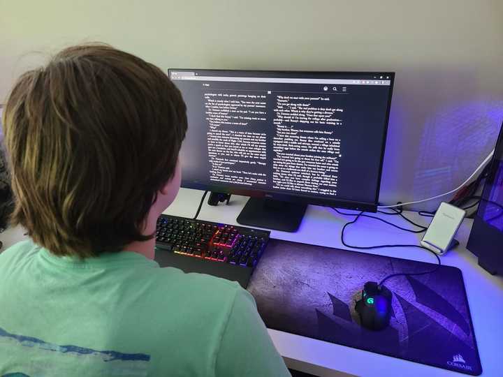 A Southern Westchester BOCES high school student reads from a desktop computer.