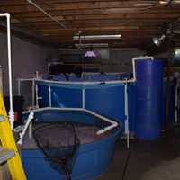 <p>The basement where the sharks were kept.</p>