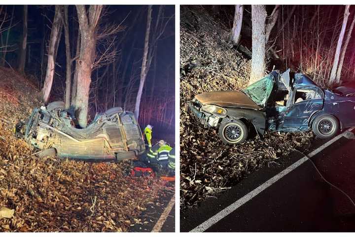 22-Year-Old Driving Drunk Crashes Into Tree In Region, Police Say