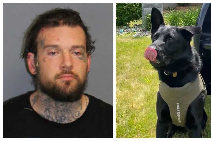 K9 Chases Down Massachusetts Driver Who Fled Scene Of Crash In Region, Police Say