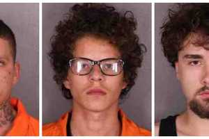 Trio Nabbed For String Of Commercial Burglaries In Dutchess County, Elsewhere