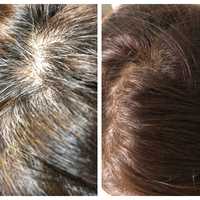 <p>An Eric Alt Salon client&#x27;s before and after using the at-home hair coloring kit.</p>