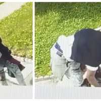 Newark Police Seek Porch Pirate