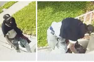 Newark Police Seek Porch Pirate