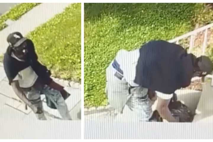 Newark Police Seek Porch Pirate