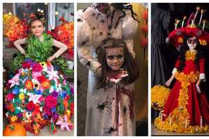 Costume Contest Winner's Looks Just Keep Getting Better