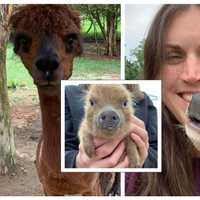 Sussex County Petting Zoo Owner Indicted On Animal Cruelty Charges