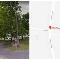 Worker Electrocuted Trimming Trees In Area, Police Say