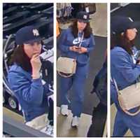 <p>Police on Long Island are asking the public for help identifying a woman who allegedly stole credit cards and then used them.</p>