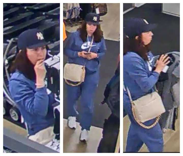 Police on Long Island are asking the public for help identifying a woman who allegedly stole credit cards and then used them.