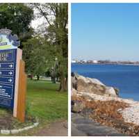 Man Screaming For Help Rescued From Drowning By Bridgeport Police Officers
