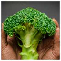 Survey Reveals Americans' Favorite Vegetables By State