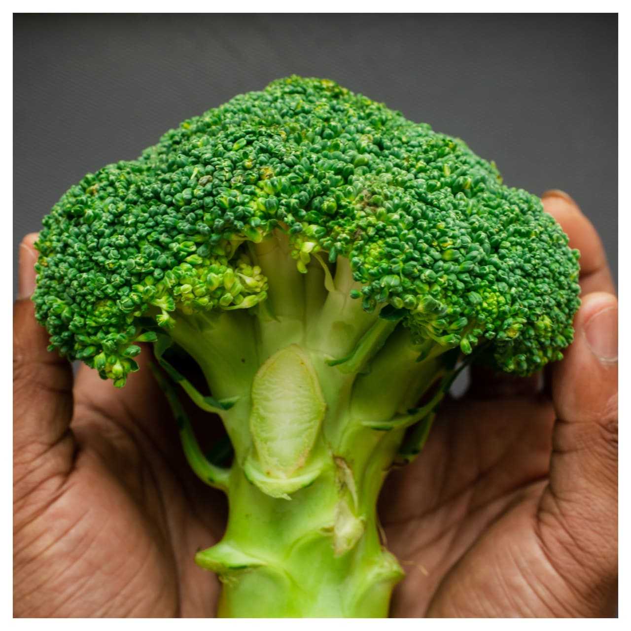 survey-reveals-americans-favorite-vegetables-by-state-worcester