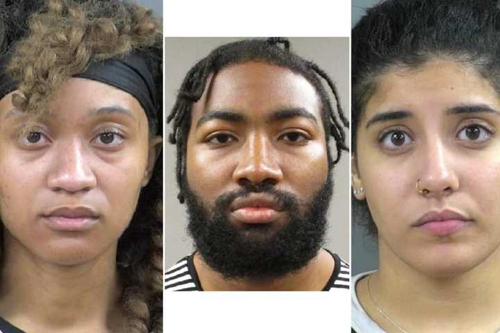 Police: Prostitute, Accomplices Nabbed After Robbing John With Shotgun, Bat At Wayne Hotel