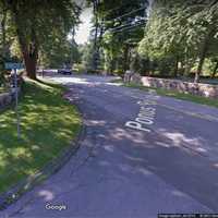 Police Looking To Locate Owner Of Dog That Bit Person On Fairfield County Roadway