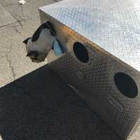 Police Come To The Rescue Of Dog With Head Stuck In Crate On Long Island
