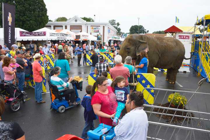 Beulah, the elephant recently died of natural causes.