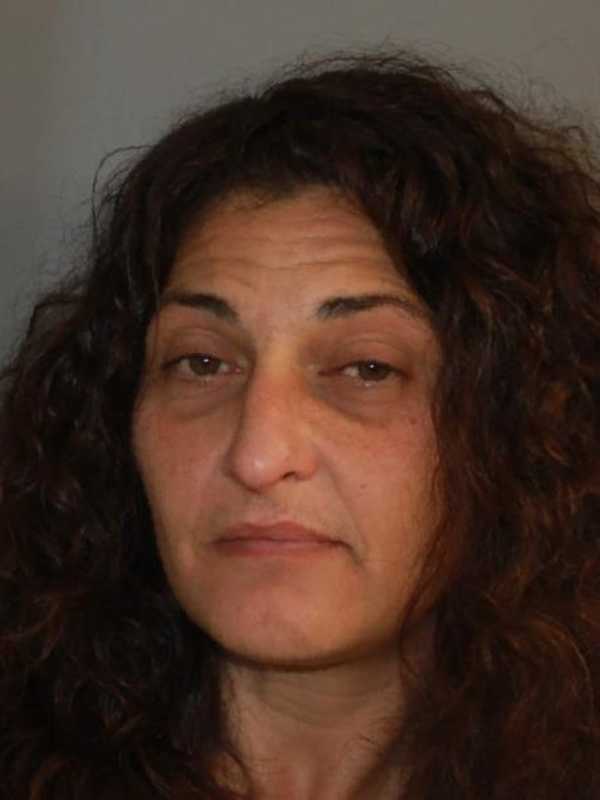 Police: Erratic Dover DWI Driver Located At School Parking Lot Gave Fake ID