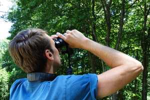 Choosing Binoculars For Birding: What You Need To Know