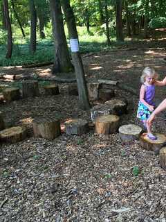 Take A Nature Walk, Watch Birds, Hunt For leaves At Darien Bird Sanctuary