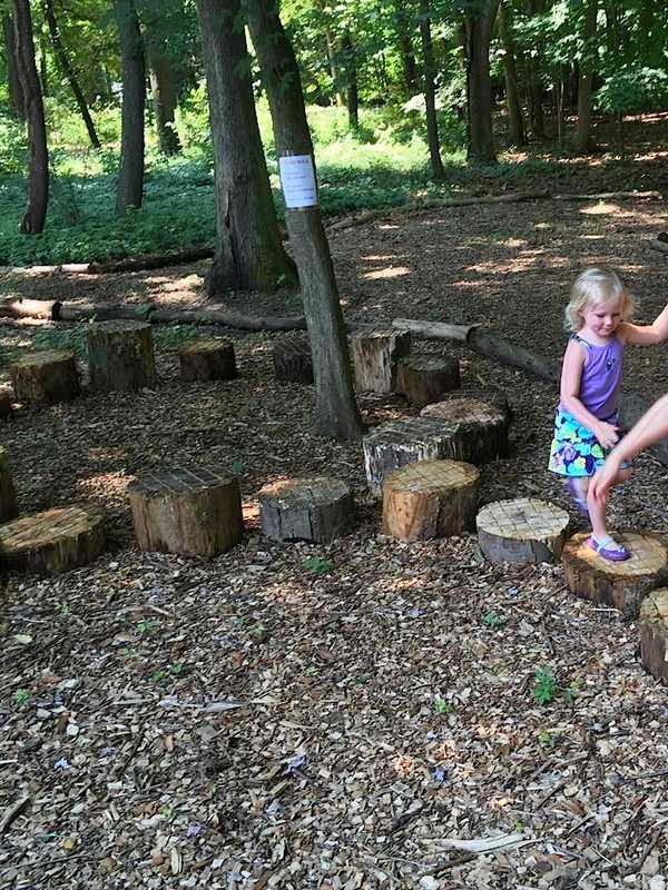 Take A Nature Walk, Watch Birds, Hunt For leaves At Darien Bird Sanctuary