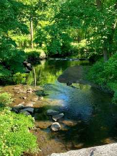 State Grants More Than $100,000 To Go Towards Dam Removal Study In Rye To Help Fish