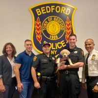 <p>Town of Bedford Supervisor Ellen Calves, police officers Mark Montanaro, Joe Sagliano, and Zach Leone, and Police Chief Melvin Padilla with future BluePath service dog Maverick</p>