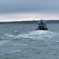 Five Rescued From Capsized Boat In Long Island Sound