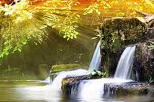 Try Out Bob-Ross-Style Painting In West Milford